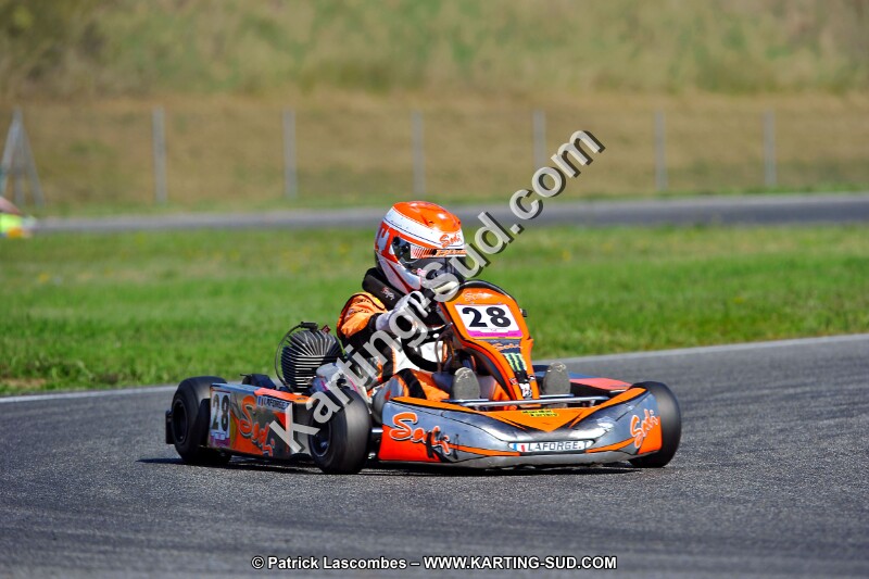 DSC_ (1266).jpg